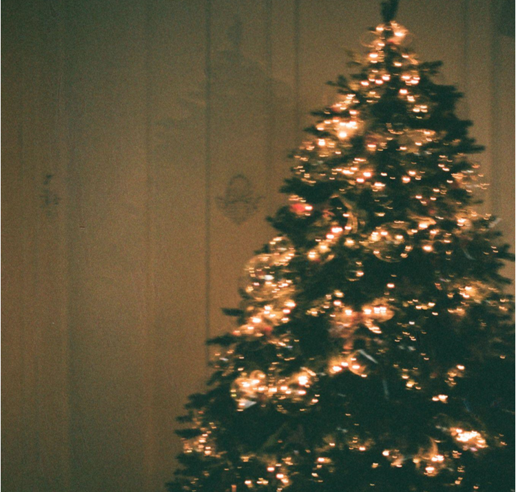 Memories Around a Stunning 9-Foot Christmas Tree